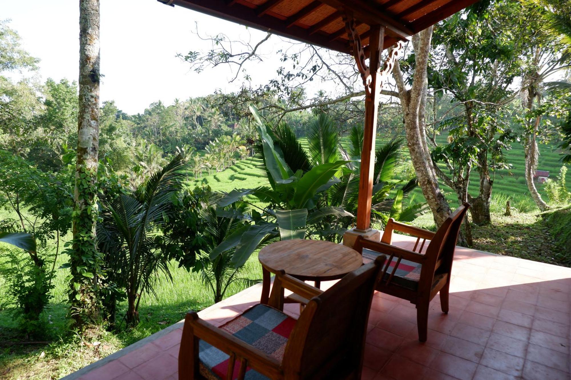 Saridevi Ecolodge Джатилувих Экстерьер фото